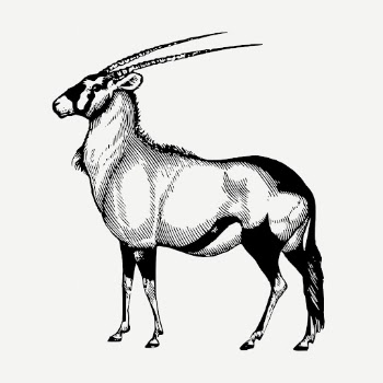 Oryx, wild animal clipart psd. | Free PSD Illustration - rawpixel