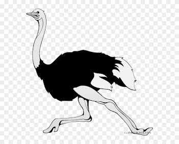 Ostrich Animal Free Black White Clipart Images Clipartblack - Words With Letter O