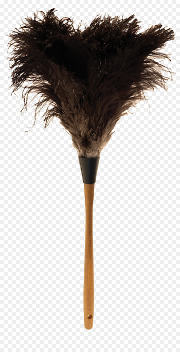 Ostrich Feathers png download - 1500*2908 - Free Transparent ...