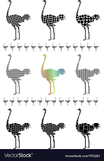 Ostrich Silhouette Set vector image