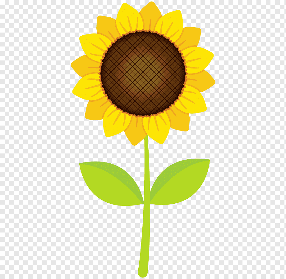 others, computer, sunflower, plant Stem png
