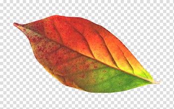 , others transparent background PNG clipart