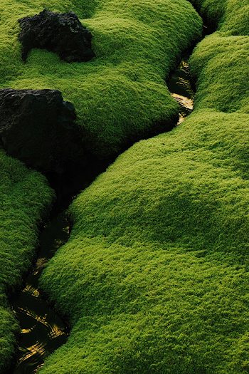 Otherworldly Volcanic Lagoon with Velvety Moss