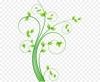 Ouled Malah Encapsulated PostScript Vector graphics Facebook - vine 