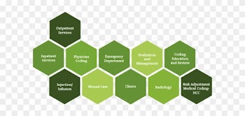 Our 24/7 Secure Remote Coding Service Is Hipaa Compliant, - Medical Coding Team