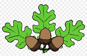 Our Curriculum - Oak Leaf Clip Art