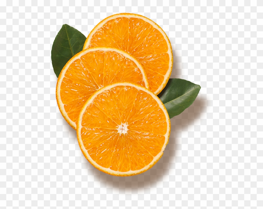 Our History - Orange Top View Png
