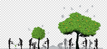 Our Mission - Te Karaka Foundation