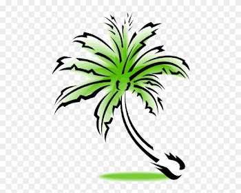 Our Office Is Located At - Palm Tree Clip Art