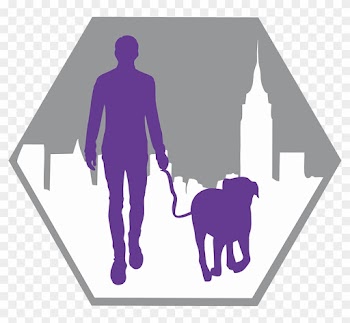 Our People - Dog Walking