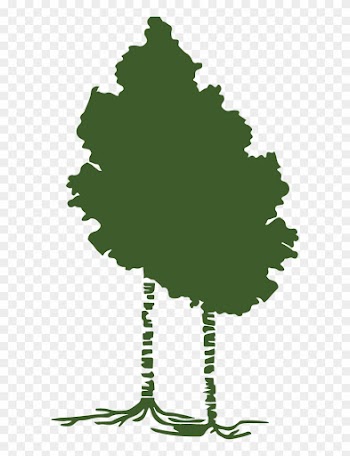 Our Process - Tree
