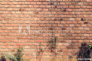 Outdoor brick wall