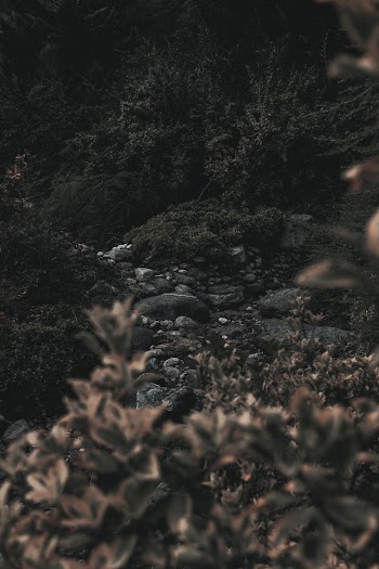 Outdoor Photography