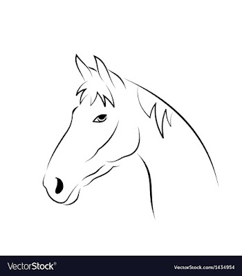  					Outline head horse isolated on white background vector image														