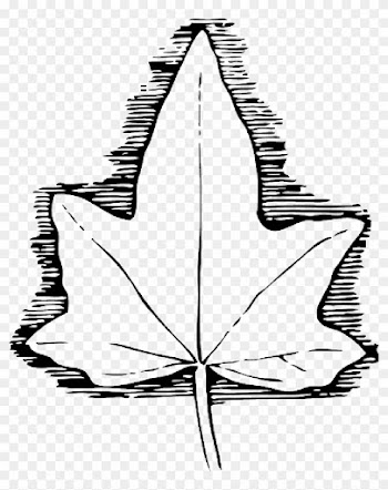 Outline, Leaf, Cartoon, Template, Poison, Medicine - Ivy Leaf Template