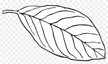 Outline Of A Butterfly 15, Buy Clip Art - Leaf Outline White