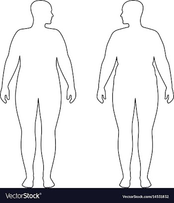 Outlined standing woman vector image