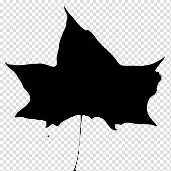 , Outlines Of People transparent background PNG clipart