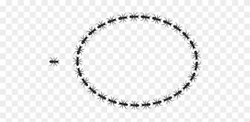 Oval Border Clipart - Circle Garland Borders Png