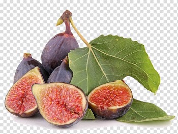 Oval brown fruit, Common fig Fig leaf , fig leaf transparent background PNG clipart