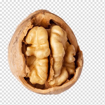Oval brown fruit, Walnut With Visible Kernel transparent background PNG clipart