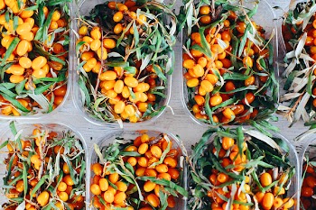 Oval Orange Fruit Lot