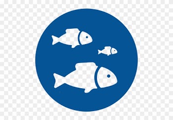 Over 200 Species Of Fish Plus Sea Turtles, Wobbegongs - Money Blue Icon Png