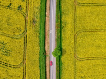 Overhead drone photograph of yellow fields, green hedges and a red car in Devon, UK