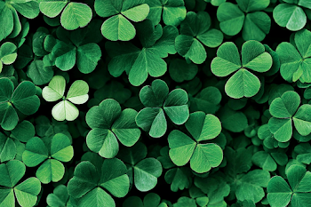 Overhead View of Green Clover Leaf Carpet
