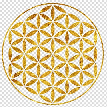 Overlapping circles grid Art, GEOMETRIC LINES transparent background PNG clipart