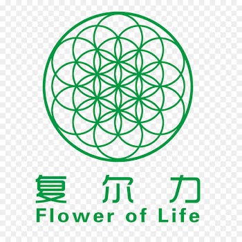 Overlapping circles grid Flower of Life T-Shirt Sacred geometry - admission sign 