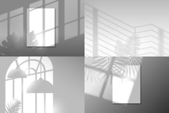Overlay transparent effect with shadows of leaves and objects Free Vector