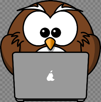 Owl Animal Bird - Free vector graphic on Pixabay