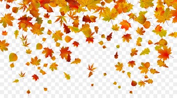 Owl Autumn leaf color Desktop Wallpaper Clip art - autumn leaves 