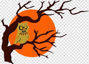Owl Bird , bat transparent background PNG clipart