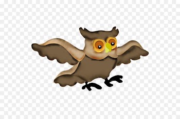 Owl, Bird, Beak, Cartoon PNG