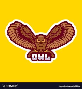owl bird cartoon character mascot