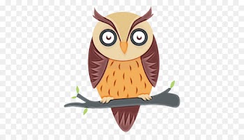owl bird eastern screech owl bird of prey cartoon