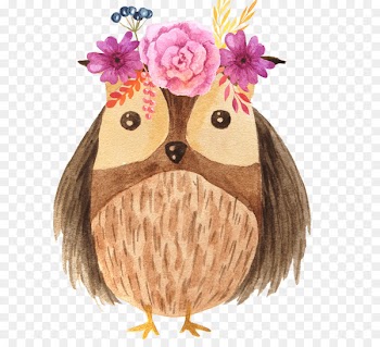Owl Bird Illustration Logo Photography - articulate watercolor 