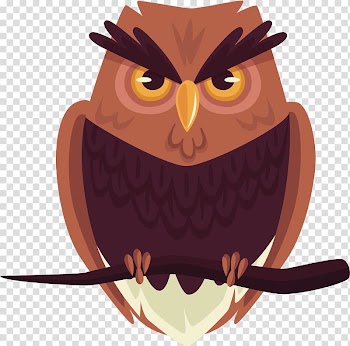 Owl Bird, Magic Owl transparent background PNG clipart