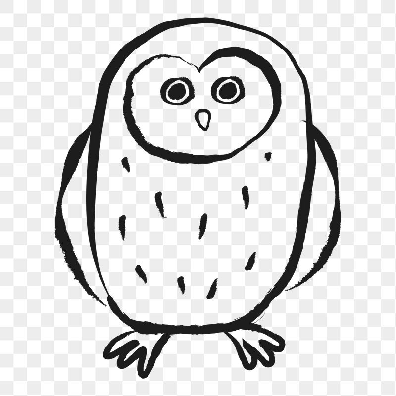 Owl bird png sticker, animal | Free PNG Illustration - rawpixel