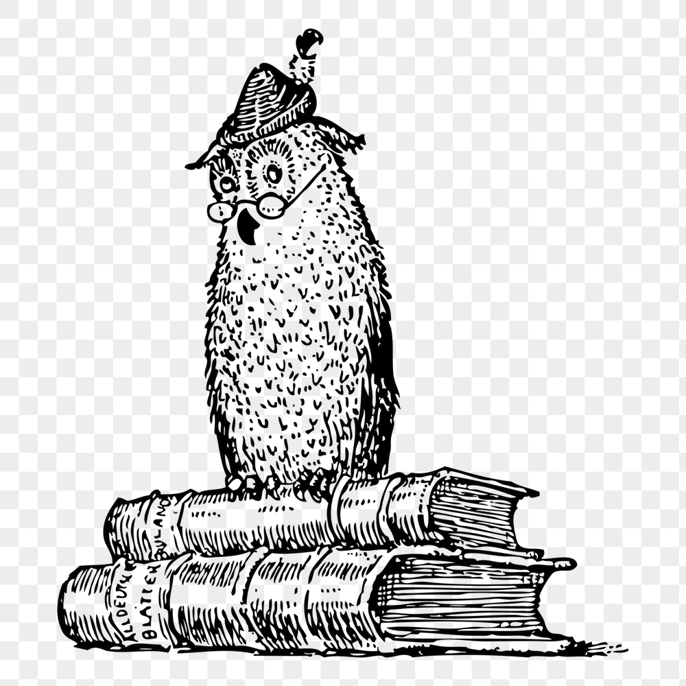 Owl books png sticker, Athena | Free PNG - rawpixel