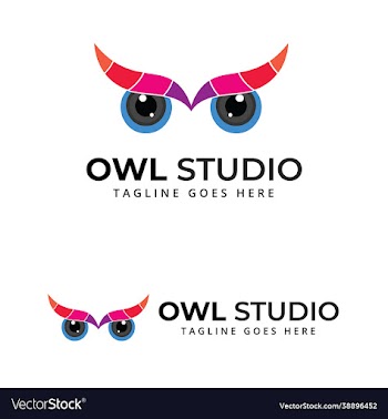owl camera eye abstract multicolor logo design