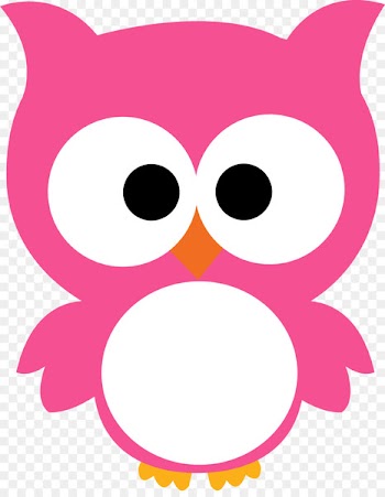 Owl Clip art Illustration Image Vector graphics - setup frame 