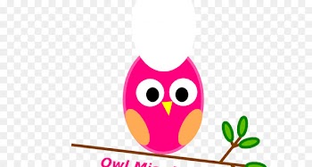 Owl Clip art Image Portable Network Graphics Drawing - ungroup border 