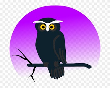 Owl Clipart - Halloween Owl Shower Curtain