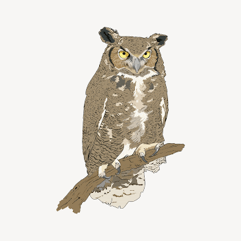 Owl clipart illustration psd. Free | Free PSD - rawpixel