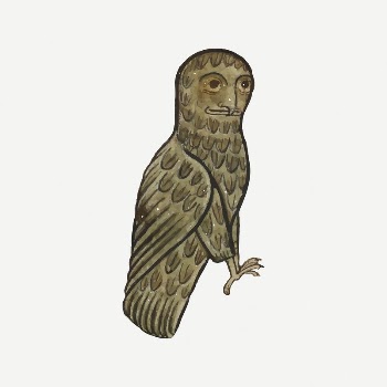 Owl collage element/drawing/clipart, medieval bird | Free PSD Illustration - rawpixel