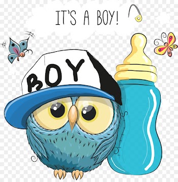Owl Cuteness Clip art - Vector owls and bottle 