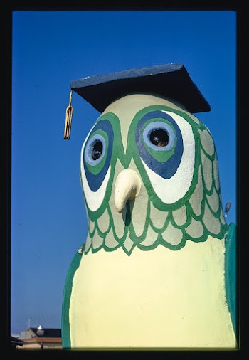 Owl detail, Sir Goony mini golf, Chattanooga,… | Free public domain photo